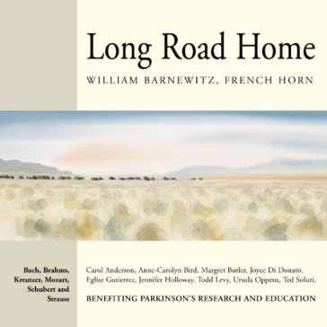 Long road home - AA.VV. Artisti Vari