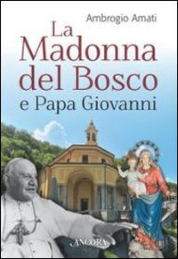 La Madonna del bosco e papa Giovanni - Ambrogio Amati