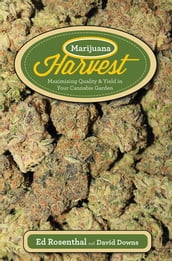 Marijuana Harvest