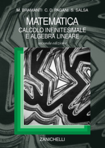 Matematica. Calcolo infinitesimale e algebra lineare - Marco Bramanti - Carlo D. Pagani - Sandro Salsa