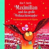 Maximilian und das große Weihnachtswunder (Maximilian 2)