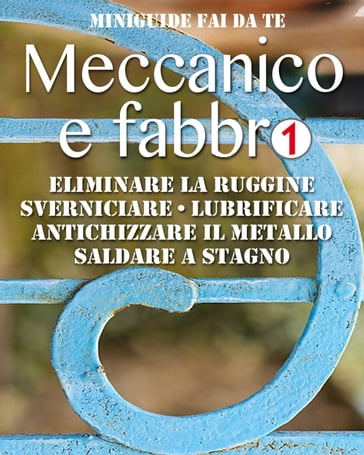 Meccanico e fabbro - 1 - Valerio Poggi
