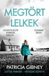 Megtört lelkek - Lottie Parker 7.