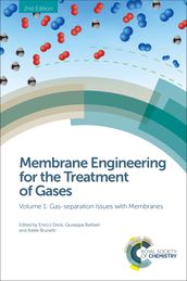 Membrane Engineering for the Treatment of Gases