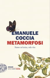 Metamorfosi