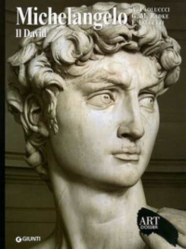 Michelangelo. Il David. Ediz. illustrata - Antonio Paolucci - Gary M. Radke - Franca Falletti