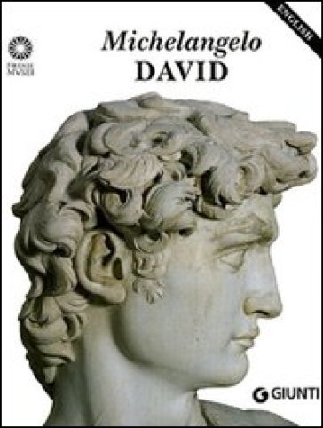 Michelangelo. David. Ediz. inglese - Laura Ciuccetti