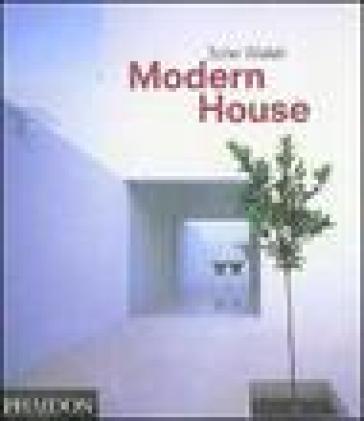 Modern house - John Welsh