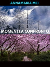 Momenti a confronto