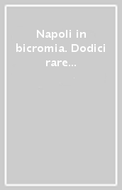 Napoli in bicromia. Dodici rare vedute del 1850. Disegnate d apres nature da Frederic Bourgeois de Mercey e litografate da E. Ciceri. Ediz. illustrata