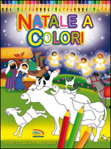 Natale a colori. Ediz. illustrata - Jan Godfrey - Paula Doherty