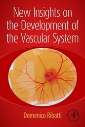 New Insights on the Development of the Vascular System