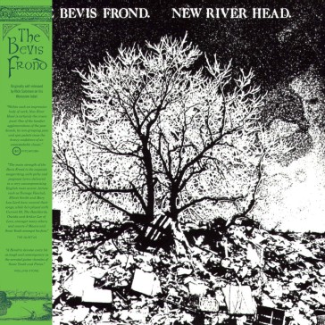 New river head  - The Bevis Frond