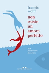 Non esiste un amore perfetto