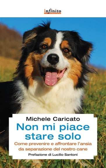 Non mi piace stare solo - Michele Caricato