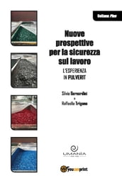 Nuove prospettive sulla sicurezza sul lavoro. L esperienza in Pulverit