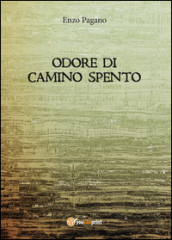 Odore di camino spento