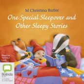 One Special Sleepover