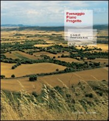 Paesaggio piano progetto