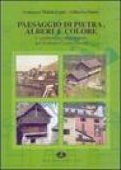 Paesaggio di pietra, alberi e colore. L architettura tradizionale nel Verbano-Cusio-Ossola. Ediz. illustrata