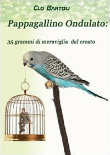 Pappagallino ondulato: 35 grammi di meraviglia del Creato - Clo Bartoli