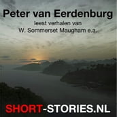 Peter van Eerdenburg