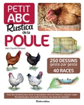 Petit ABC Rustica de la poule