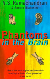 Phantoms in the Brain