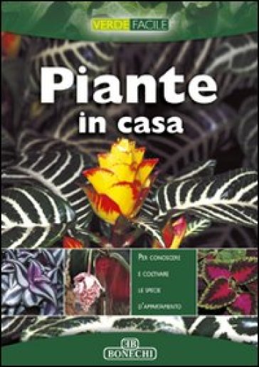 Piante in casa - M. Novella Batini