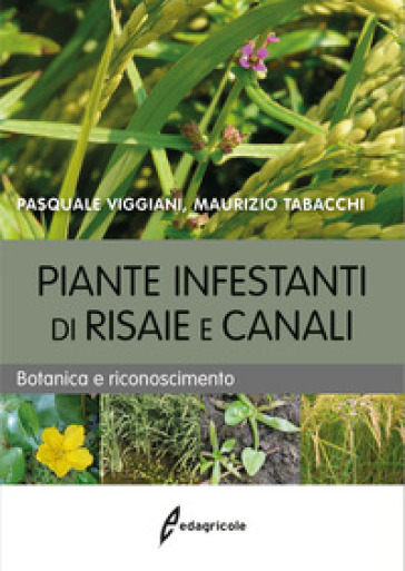 Piante infestanti di risaie e canali. Botanica e riconoscimento - Pasquale Viggiani - Maurizio Tabacchi