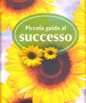 Piccola guida al successo