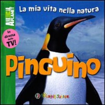 Pinguino - Meredith Costain