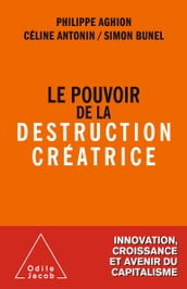 Le Pouvoir de la destruction créatrice