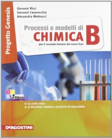 Processi e modelli di chimica. Volume B. Per le Scuole superiori - Alessandra Matteucci - Giovanni Casavecchia - Giovanni Ricci