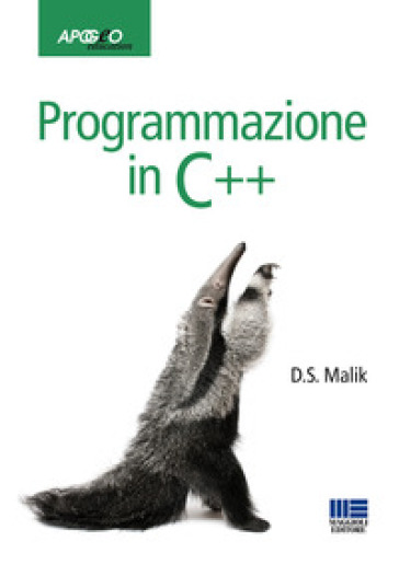 Programmazione in C++ - D. S. Malik