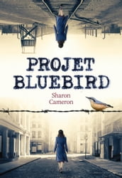 Projet Bluebird