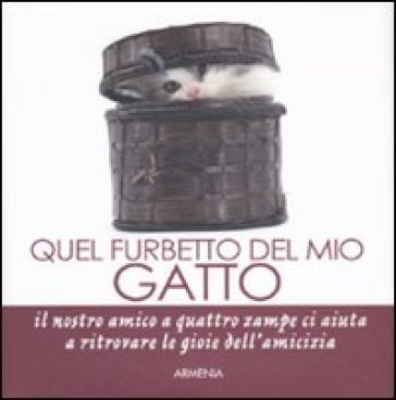 Quel furbetto del mio gatto