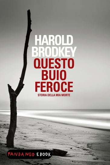 Questo buio feroce - Harold Brodkey