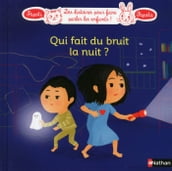 Qui fait du bruit la nuit ?