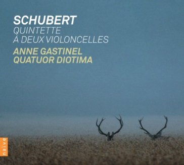 Quintetto a due violoncelli - Franz Schubert