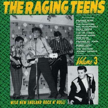 Raging teens vol.3 - AA.VV. Artisti Vari