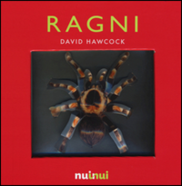 Ragni. Libro pop-up - David Hawcock