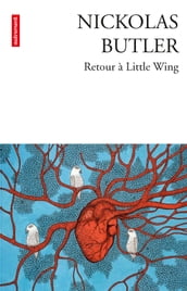 Retour à Little Wing