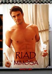 Riad Mimosa