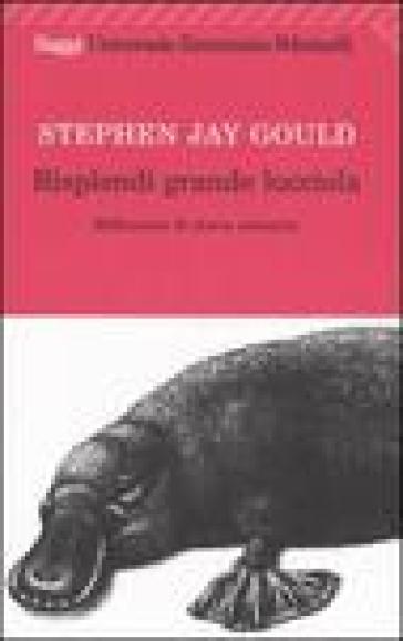 Risplendi grande lucciola. Riflessioni di storia naturale - Stephen Jay Gould