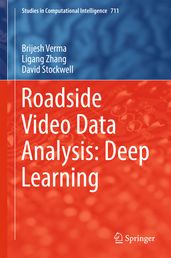 Roadside Video Data Analysis