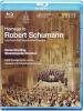 Robert Schumann - Homage To Robert Schumann