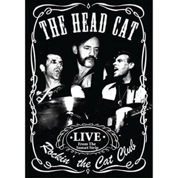 Rockin  the cat club - Head Cat