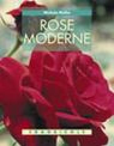 Rose moderne - Michela Mollia