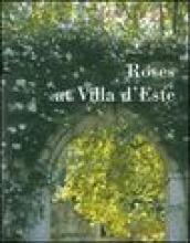 Roses at Villa d Este